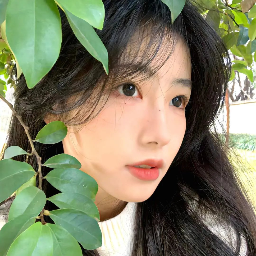 霹雳娇娃
